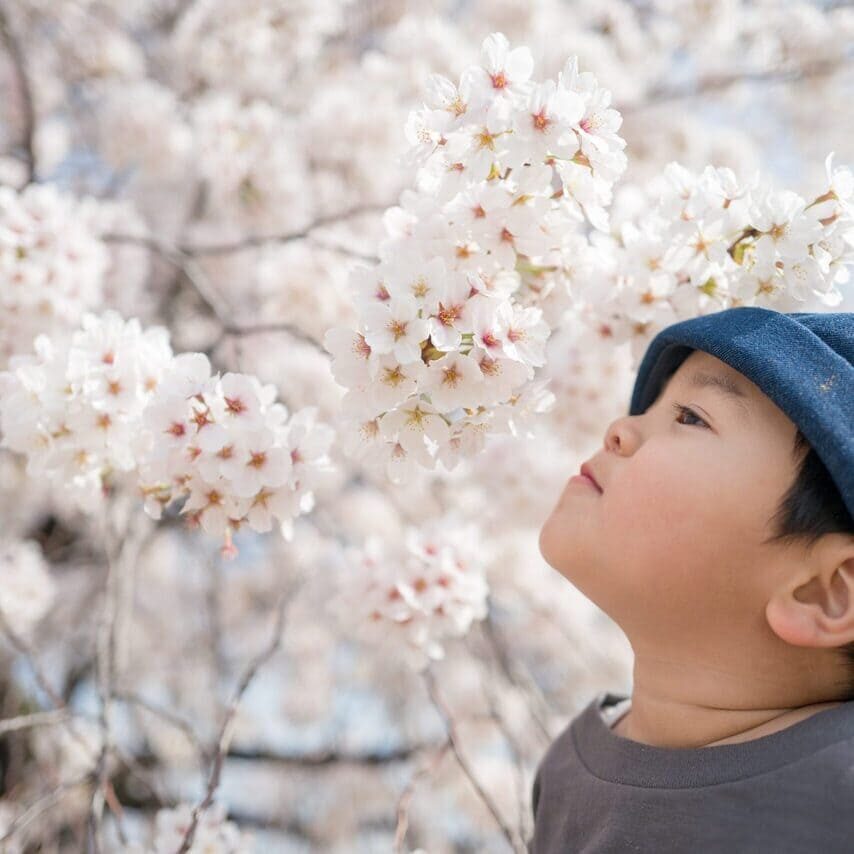 kazuend-Uu692wJ0FCY-unsplash-scaled-circle kazuend-Uu692wJ0FCY-unsplash-scaled-circle